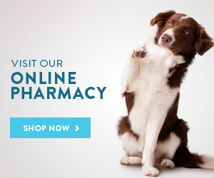 Visit our online pharmacy